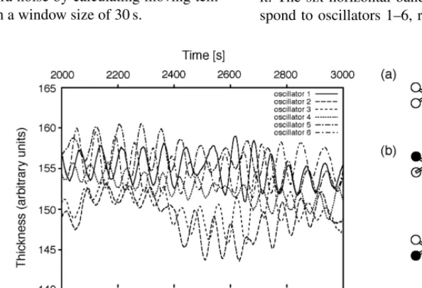 Fig. 6. Thickness oscillation of the plasmodium without light stimuli; sample selected from a long time series