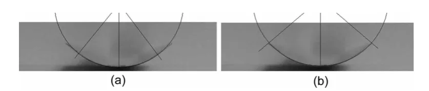 Fig. 5Tape section curvature overlay