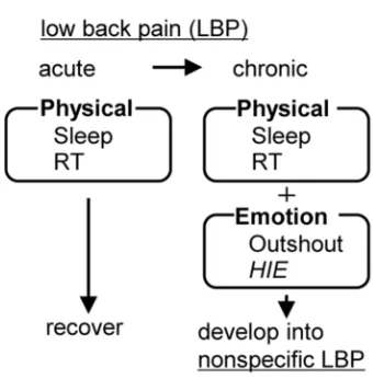 Figure 3 A hypothesis for the development of nonspeciﬁc low back pain.