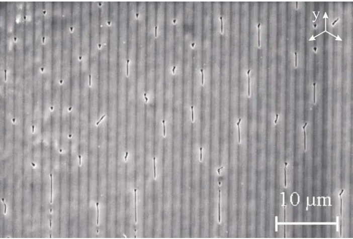Fig 3.  