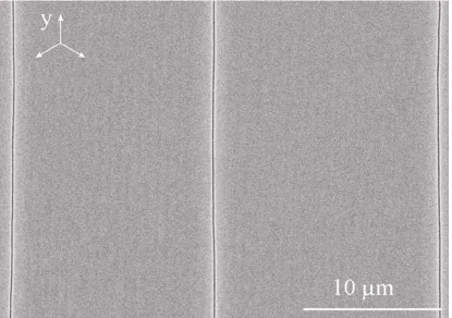 Fig 6.  