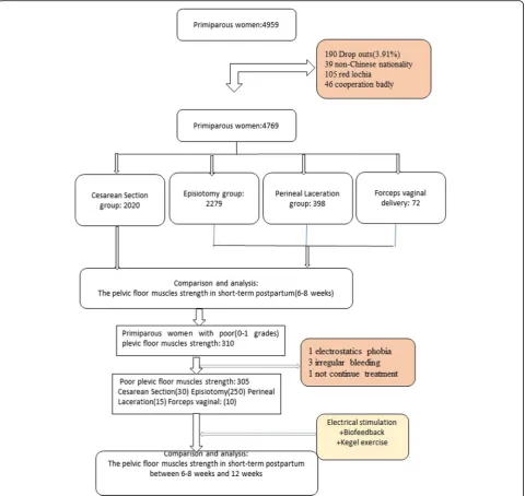 Table 1 Modified Oxford scale for digital evaluation of pelvicfloor muscle strength