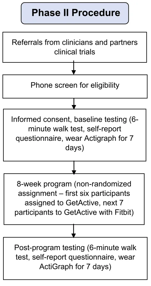 Figure 3 Phase 2 procedure.