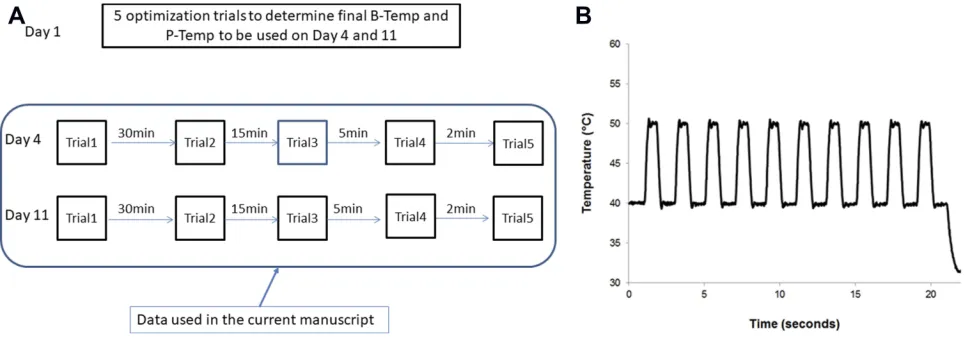 Figure 1 Experimental Design. (A) Study timeline. (B) Phasic thermal temporal summation paradigm.