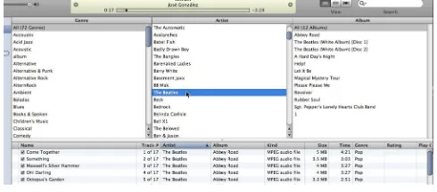 Figure 1: iTunes showing The Beatles selected, with their 
