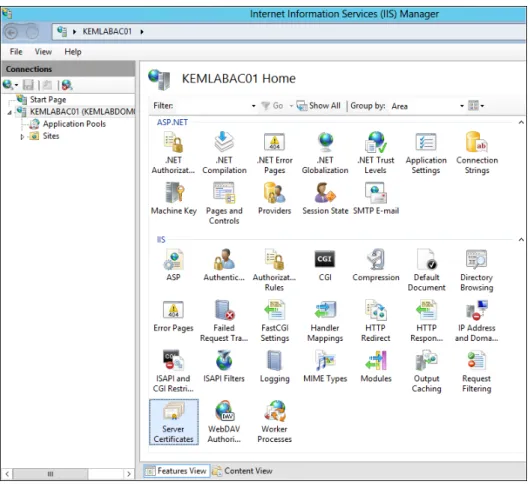 FIGURE 3-4   A view of the IIS Manager Home page in Features view.