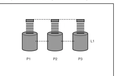 Figure 1-2 Physical Disks Configured into a Logical Drive (L1) 