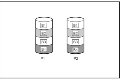 Figure 1-5 Disk Drive Mirroring of P1 onto P2 (RAID 1)