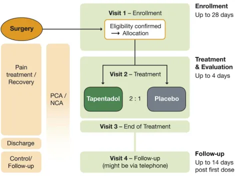 Figure 1 Trial design.
