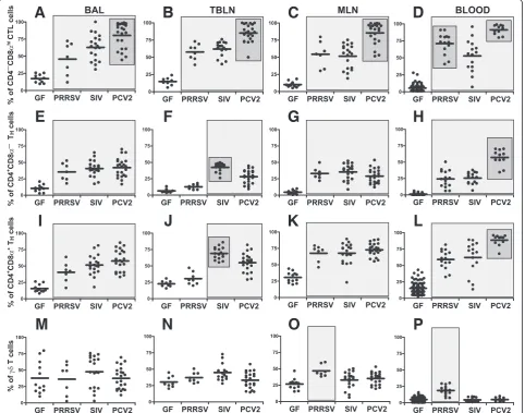 Figure 6 Analysis of IgA expression on B cells. Cell suspensions isolated from BAL (A) and blood (B) of control GF piglets and GF pigletsinfected with PRRSV, SIV or PCV2 (different animal groups depicted on x-axes) were analyzed by flow cytometry for the p