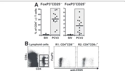 Figure 7 Analysis of FoxP3+ cells in SIV and PCV2 infection. (A) Cell suspensions isolated from the blood of GF piglets infected with SIV orPCV2 (different animal groups depicted on x-axes) were analyzed by flow cytometry for the proportion of FoxP3+CD25— 