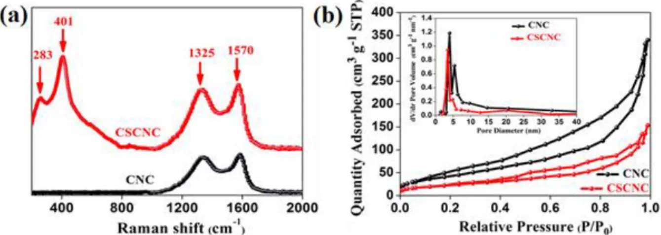 Figure S1 (a) Raman spectra and (b) N 2  adsorption-desorption analysis of    CNC and CSCNC