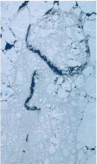 Figure F4. Photograph taken from one of the Expedition 302 helicopters of stationkeeping operations