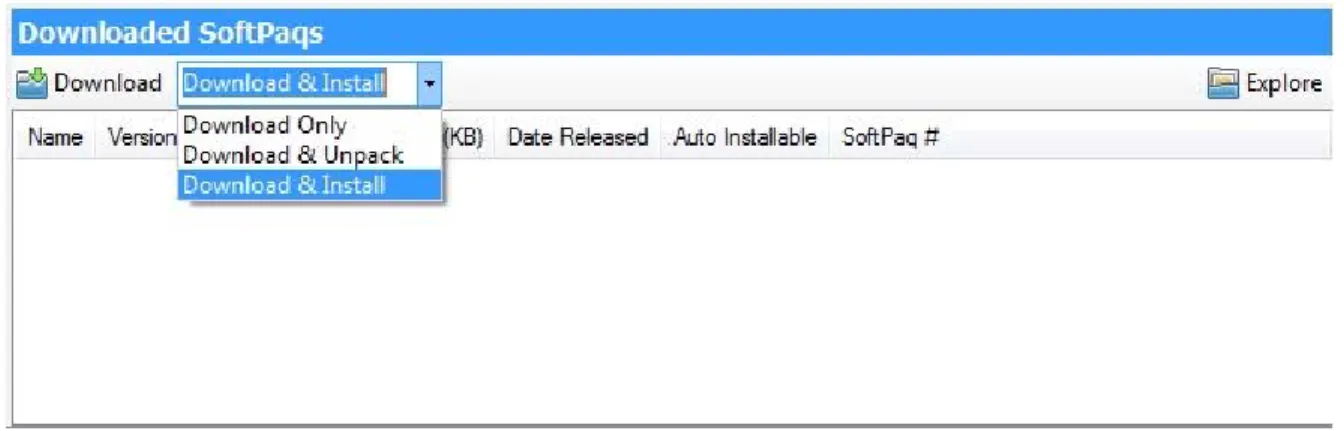 Figure A-3. Downloaded SoftPaqs window 