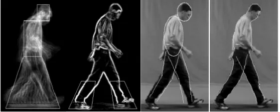 Figure 3-2 Example fronto-parallel image from a gait sequence 
