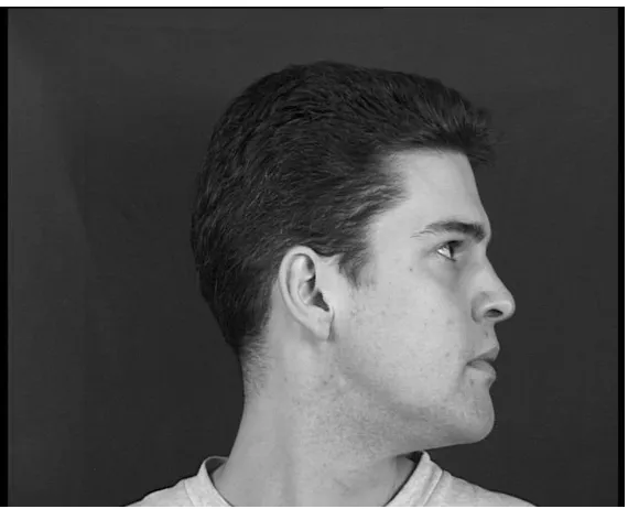Figure 3-3 Example image for ear recognition 