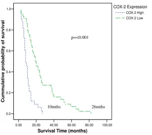 Fig-3 shows the relationship between survival and clinico-pathologic factors. We confirmed a significant correlationbetween survival and traditional prognostic factorsincluding the depth of tumour invasion or T-stage (fig 3-A), nodal metastasis or N-stage 