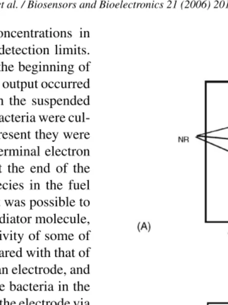 Fig. 4. MET and DET processes. (A) Schematic illustrating non-diffusive METin this case between E
