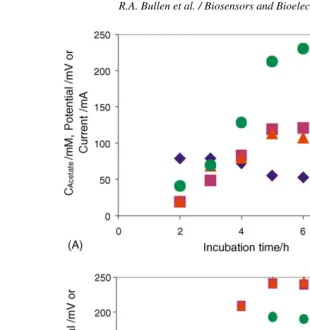 Fig. 5. Illustration of the effect of modifying an electrode with a mediator, in this case neutral red