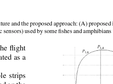 Fig. 1. Analogy between a ﬂuid-dynamic sensing systems used in Nature and the proposed approach: (A) proposed instrumentation to be applied on the aerodynamicsurfaces of an aircraft; (B) lateral line of neuromasts (nanoscale ﬂuidic sensors) used by some ﬁshes and amphibians to infer swimming attitude and other information.