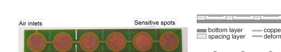 Fig. 3. Strip sensor array in PCB technology. Prototype photography (A); section and schematic operation (B)