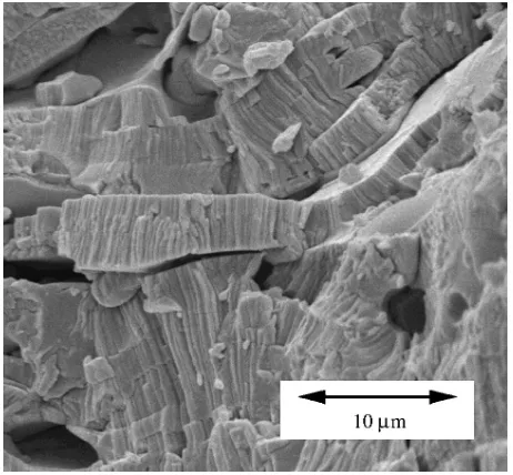 Figure 4. SEM micrograph of a plasma sprayed TBC of yttria-stabilized zirconia.