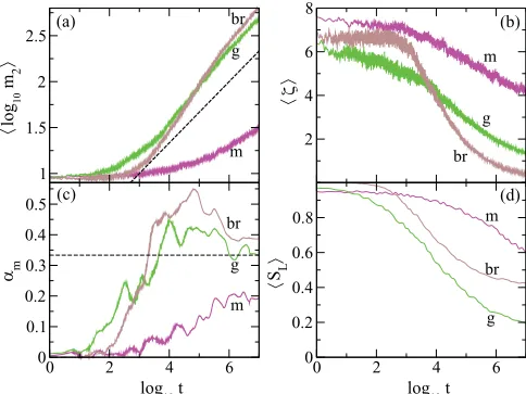 FIG. 4. (Coloronline)⟨spreading of initially compact wave packets of widthβaveraged quantities over 100 disorder realizations