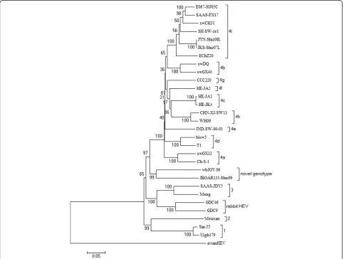 Figure 1 Phylogenetic tree depicting the genotypic/subgenotypic status of 30 HEV isolates based on the full length genomicsequence