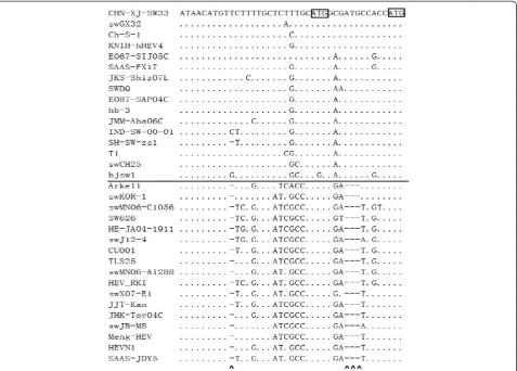 Figure 3 Alignment of nucleotide sequences comprising the junction region (JR) of genotype 3 strains (below the line) and genotype4 strains (above the line)