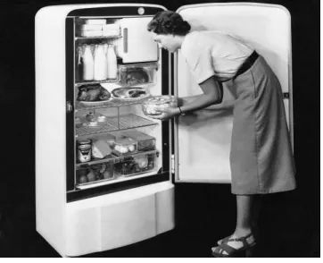 Table 1. Metadata used for resolving the request of the query ‘A photo of a 1950s fridge’.