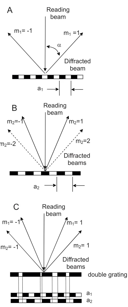 Fig. 1. A) ﬁrst order diffraction from grating with pitch ation from grating with pitch1; B) ﬁrst and second order diffrac- a2