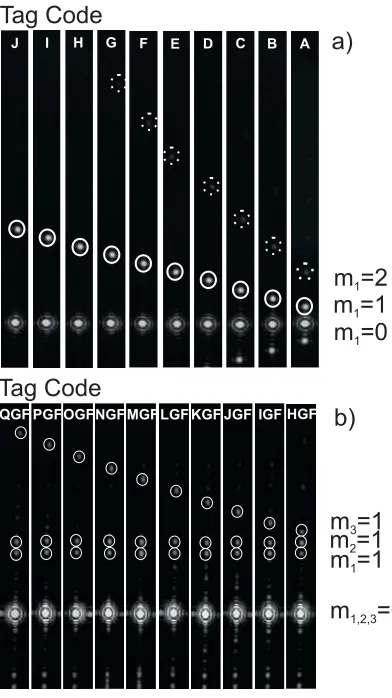 Fig. 4. Diffraction patterns created by a single grating tag (a), and tags containing threedifferent gratings (b)