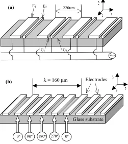 Figure 2.  Schematic diagram of the physical mechanism of ac electro-osmosis in an asymmetric electrode array 