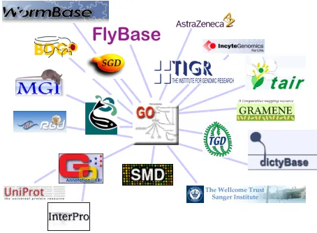 Fig. 2. Resources cross-linked through using the Gene Ontology 