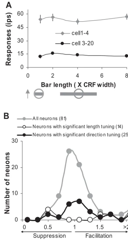 Fig. 4. (A) The length tuning responses of two example neurons. Theoptimally oriented bar was drifted across the CRF in the neuron’spreferred direction with various length (from one to eight times CRFdiameter)