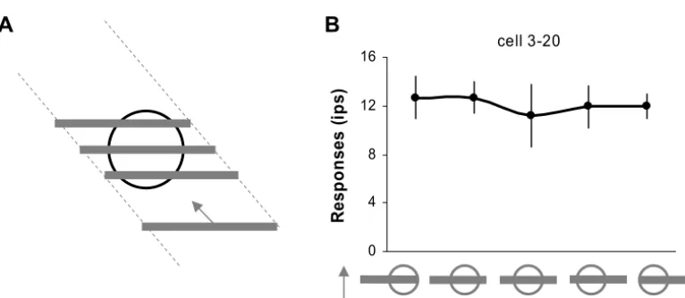 Fig. 5. (A) Stimulus example. When a single bar drifted across the CRF in the non-preferred directions, the portion of the bar falling on either sideof the CRF changed systematically