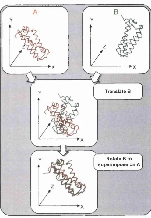 Figure 1.11: Procedure for finding the optimal rigid body superposition between two protein structures.