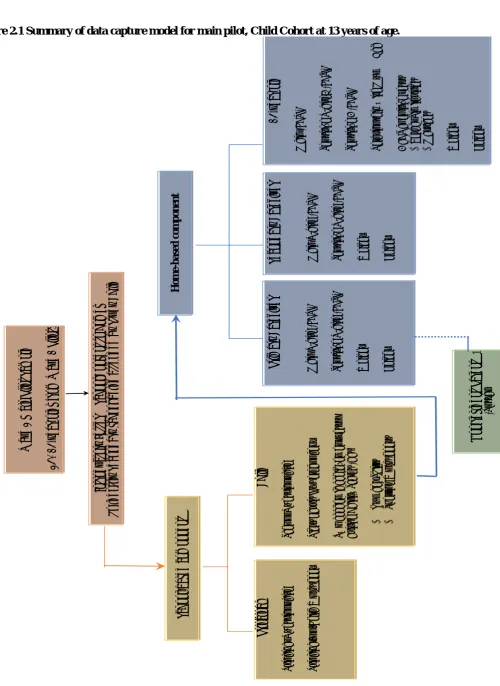 Figure 2.1 Summary of data capture model for main pilot, Child Cohort at 13 years of age