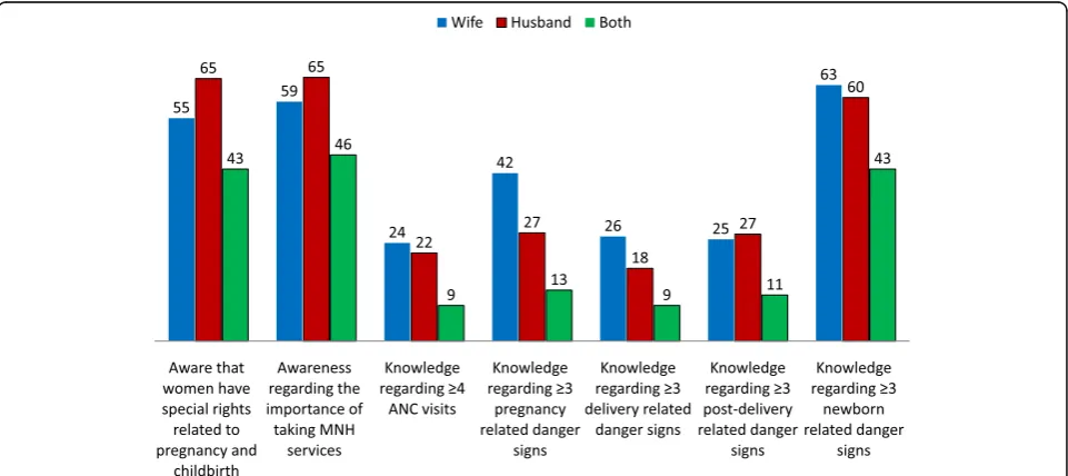 Fig. 1 Percentage distribution of knowledge and awareness of women and their husbands regarding MNH issues (N = 317)