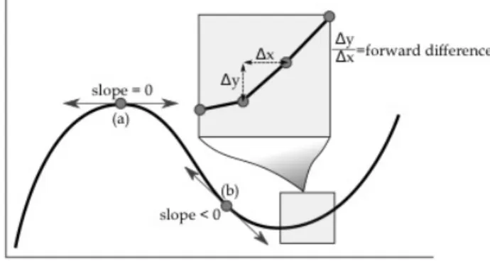 Figure 3 Figure illustrating locations on a non-linear function where its tangents are (a) flat, or zero, and (b) negative