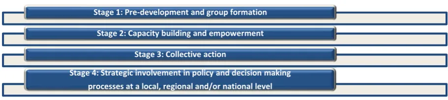 FIGURE 3.1 COMMUNITY GROUP PROGRESSION MATRIX 