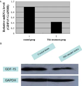 Figure 3. qRT-PCR and Western blot data shown expression of GDF-15 was decreased with TSA group (75 ng/mL for 48 h) in BGC-823 cell