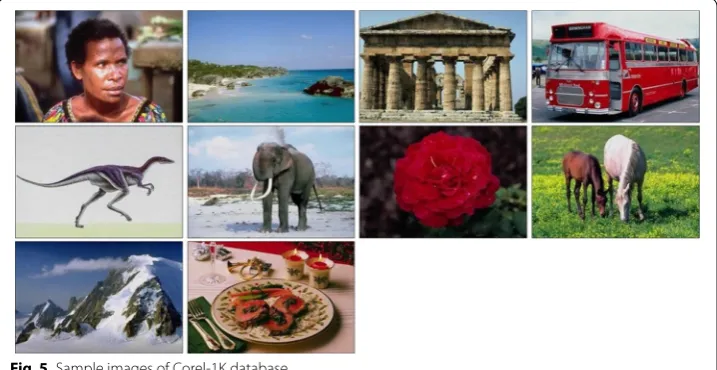 Fig. 5 Sample images of Corel-1K database