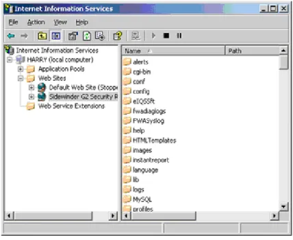 Figure 10: IIS Manager window
