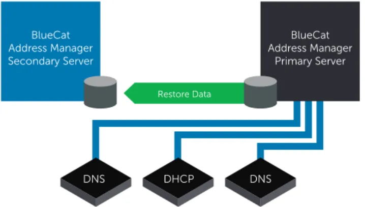 Figure 2a: BlueCat Address Manager clustering with replication allows two physically separate  BlueCat Address Manager servers to maintain identical copies of all DNS, DHCP and IPAM data.