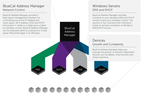 Figure 1: BlueCat Address Manager provides centralized management and control for all your  Microsoft Windows DNS and DHCP servers.