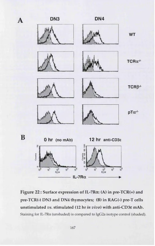 Figure 22 : Surface expression of IL-7Ra: (A) in pre-TCR(+) and 