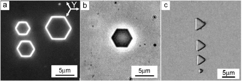 Figure 1. Classical shapes of individual domains for (a) CLN, (b) SLT,(c) CLT. Visualization by optical microscopy: (a) dark field, (b) phase contrast, (c) bright field