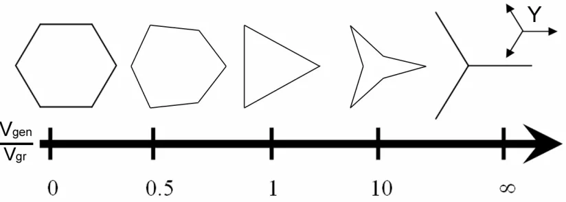 Figure 3. Simulated diagram of the domain shape dependence on the ratio of step generation to step growth rates