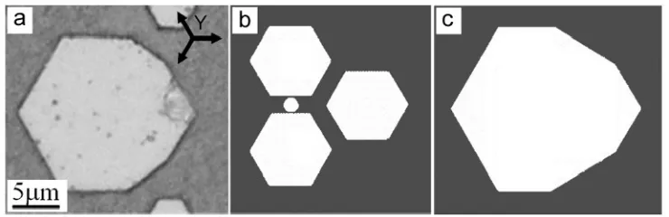 Figure 10. Formation of octagonal domain after consequent merging of three hexagonal domains: (a) experiment, (b) and (c) computer simulation